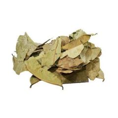 GRAVIOLA FOLHAS 100g