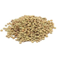 LENTILHA CANADENSE 100g