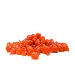 PIMENTA BIQUINHO EM CONSERVA 100g
